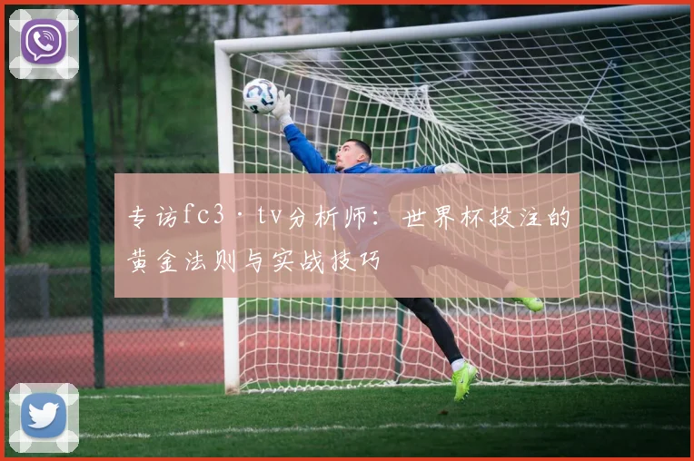 专访fc3·tv分析师:世界杯投注的黄金法则与实战技巧