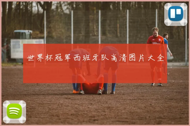 世界杯冠军西班牙队高清图片大全