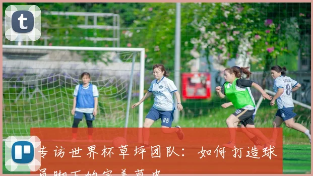 专访世界杯草坪团队：如何打造球员脚下的完美草皮