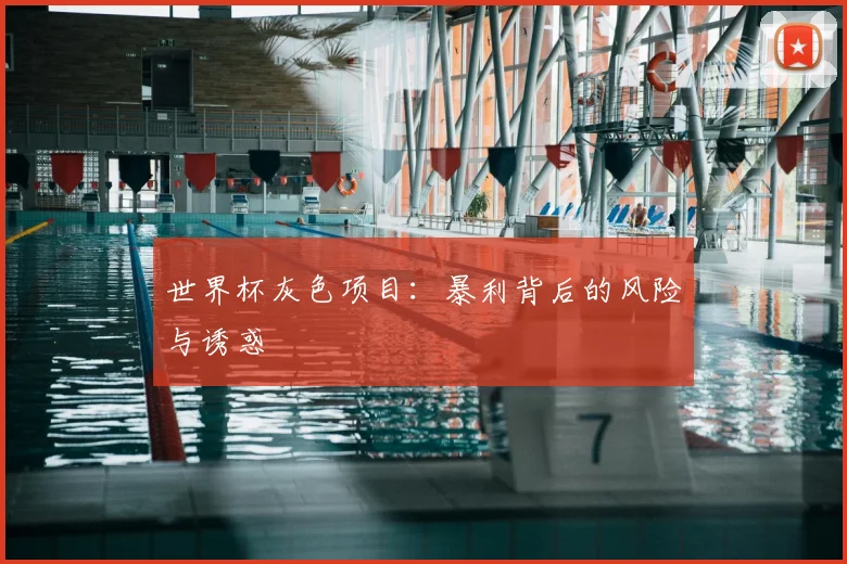 世界杯灰色项目:暴利背后的风险与诱惑