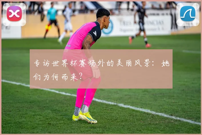 专访世界杯赛场外的美丽风景:她们为何而来?