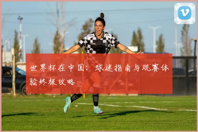 世界杯在中国:球迷指南与观赛体验终极攻略