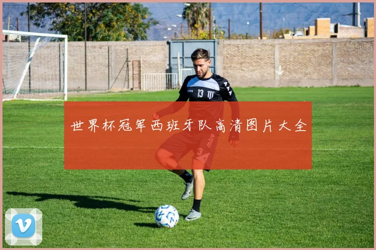 世界杯冠军西班牙队高清图片大全