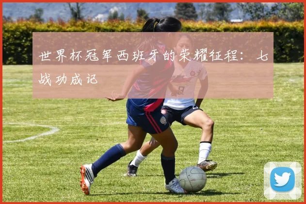 世界杯冠军西班牙的荣耀征程：七战功成记