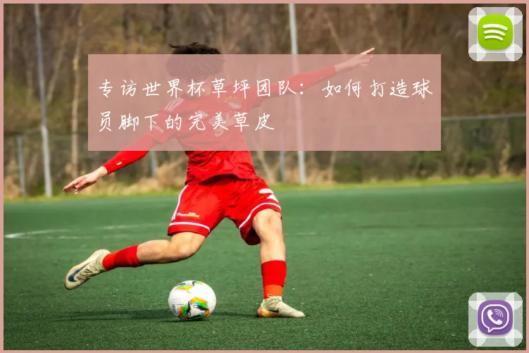 专访世界杯草坪团队：如何打造球员脚下的完美草皮